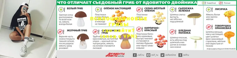 даркнет сайт  Кировск  darknet Telegram  Галлюциногенные грибы мухоморы 